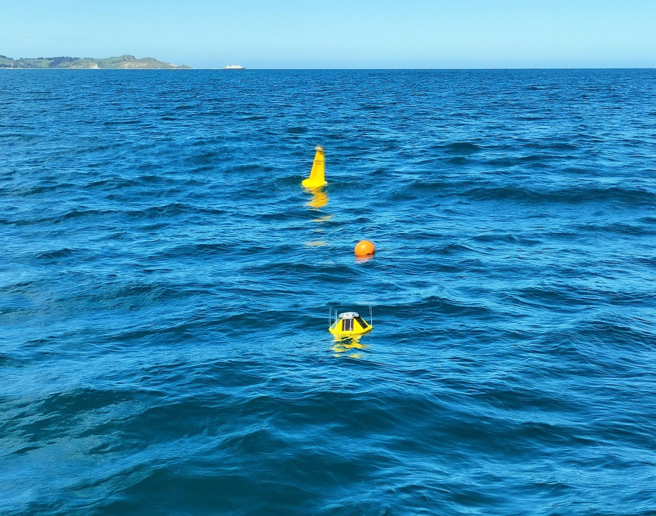 Wave monitoring buoy floating in the ocean as part of the South Island Waves monitoring programme